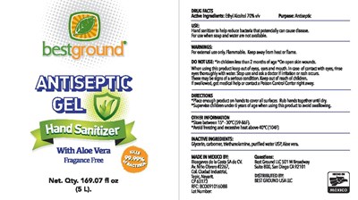 ANTISEPTIC GEL 5LT PRINT.jpg label 2 - ANTISEPTIC GEL 5LT PRINT